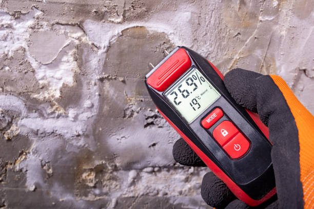 Best Mold Remediation  in Lawrenceville, GA