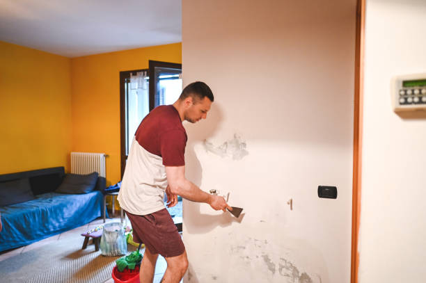 Best Same-Day Mold Removal  in Lawrenceville, GA