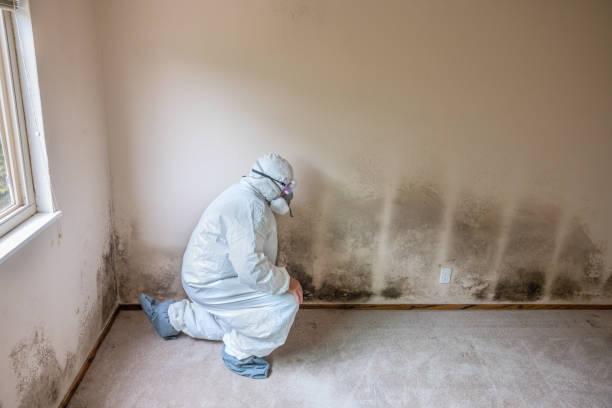 Best Residential Mold Removal  in Lawrenceville, GA