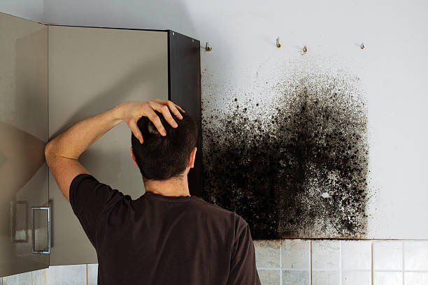 Home Mold Removal in Lawrenceville, GA